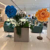 The lobby was gorgeous and the staff couldn’t I’ve been more attentive.