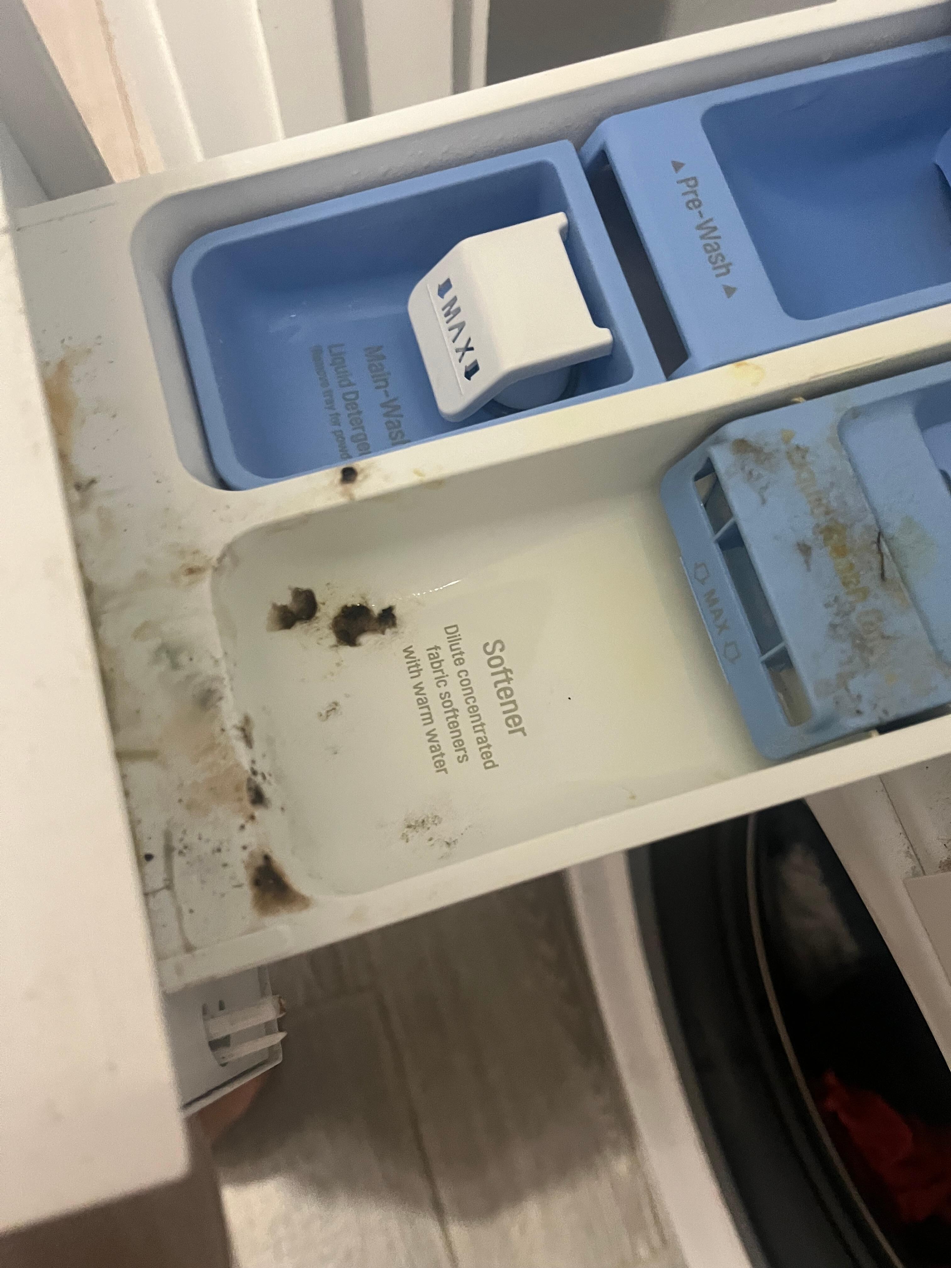 Washer could use cleaning (I had to clean prior to using)