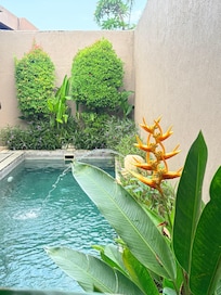 Tropical garden, outdoor shower , lounge & kitchen