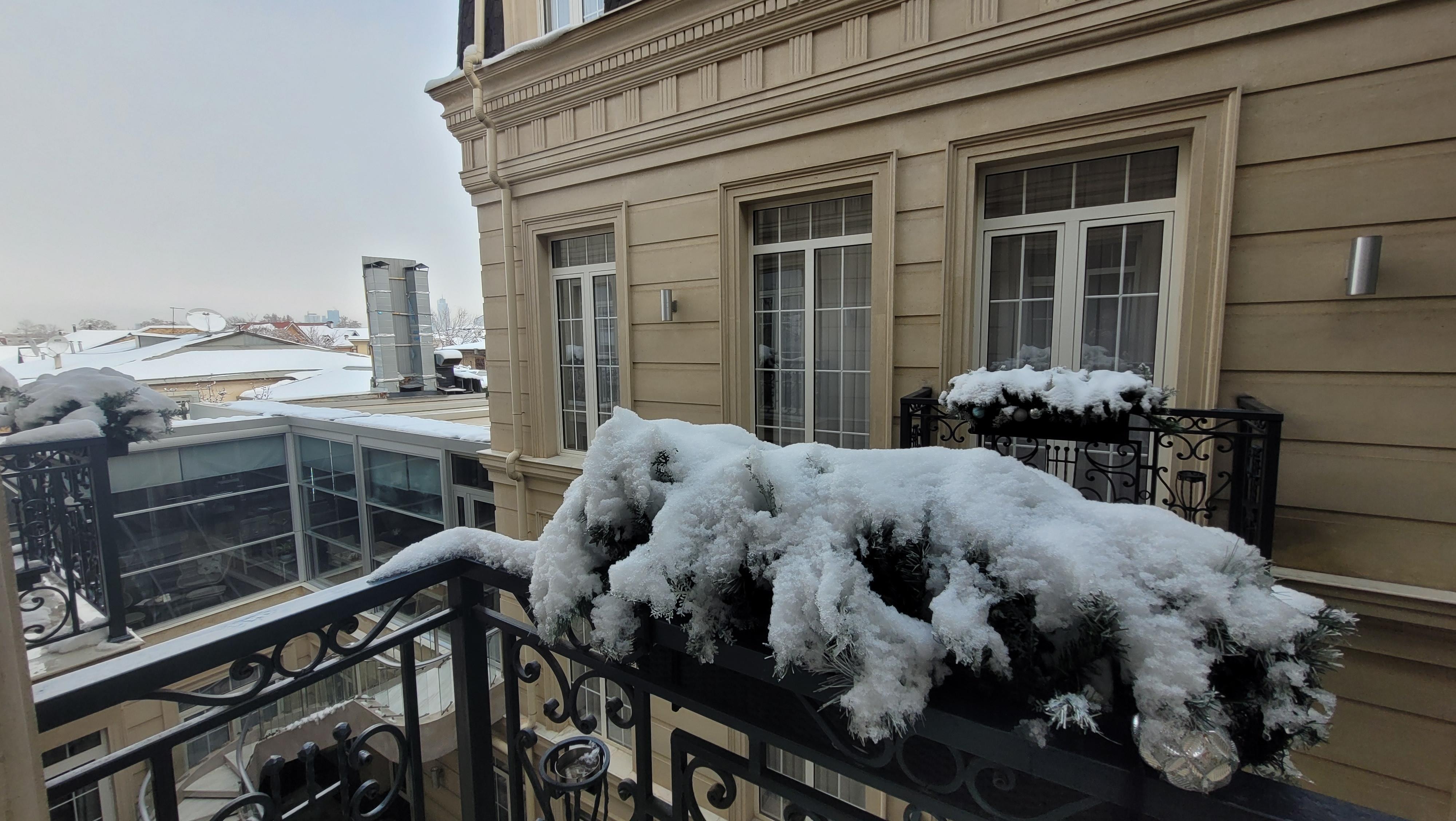 Balkondaki Çiçek ve Kar 