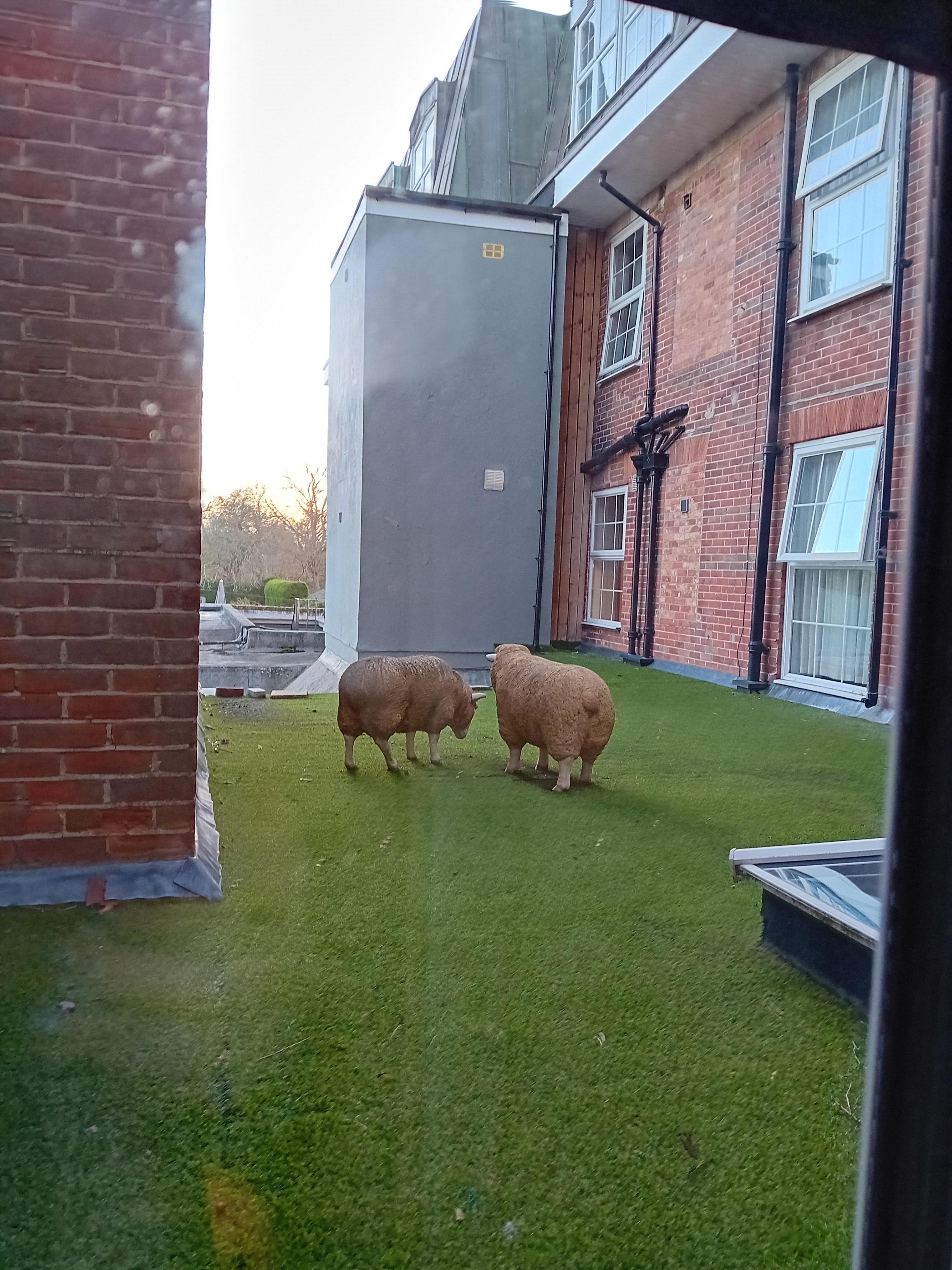 We had a lovely room and although it was an inside room, we still had a view to look out on