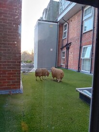 We had a lovely room and although it was an inside room, we still had a view to look out on