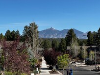 View from front yard