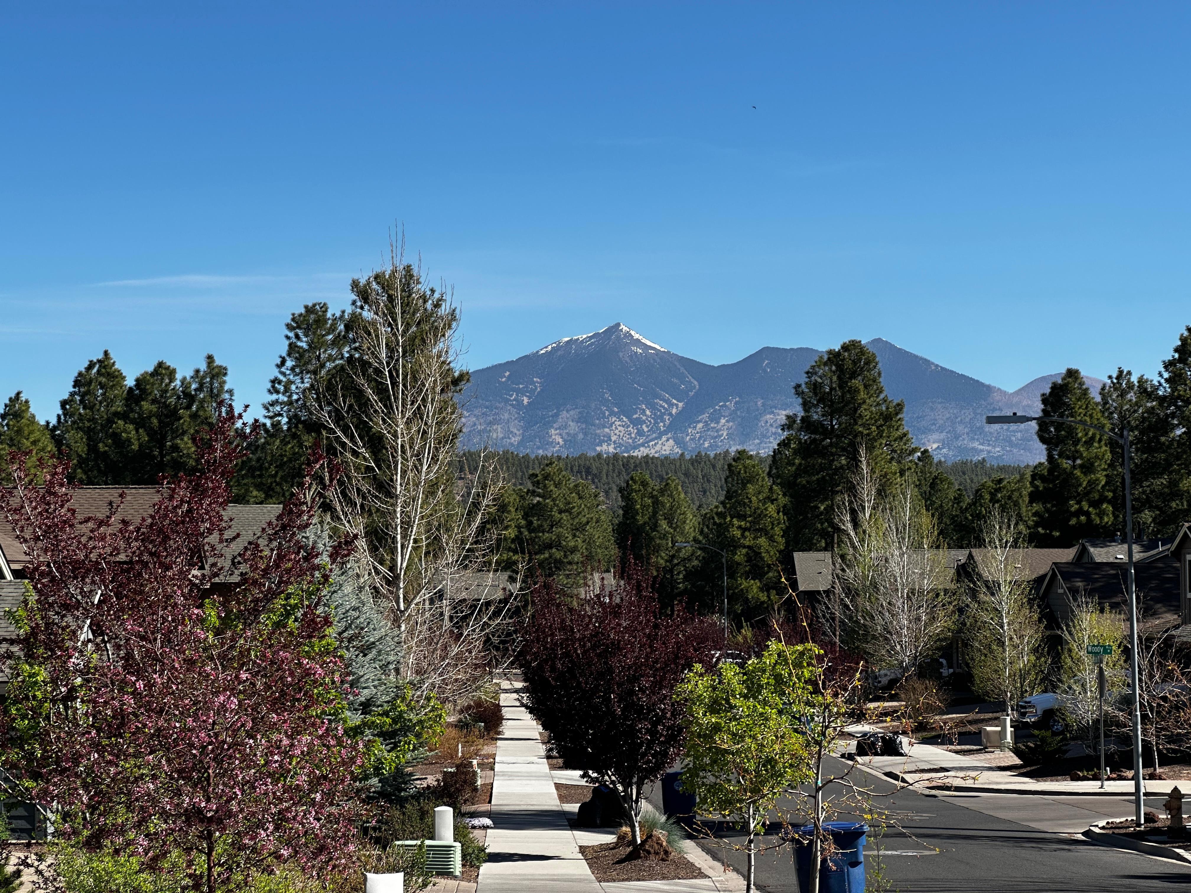 View from front yard