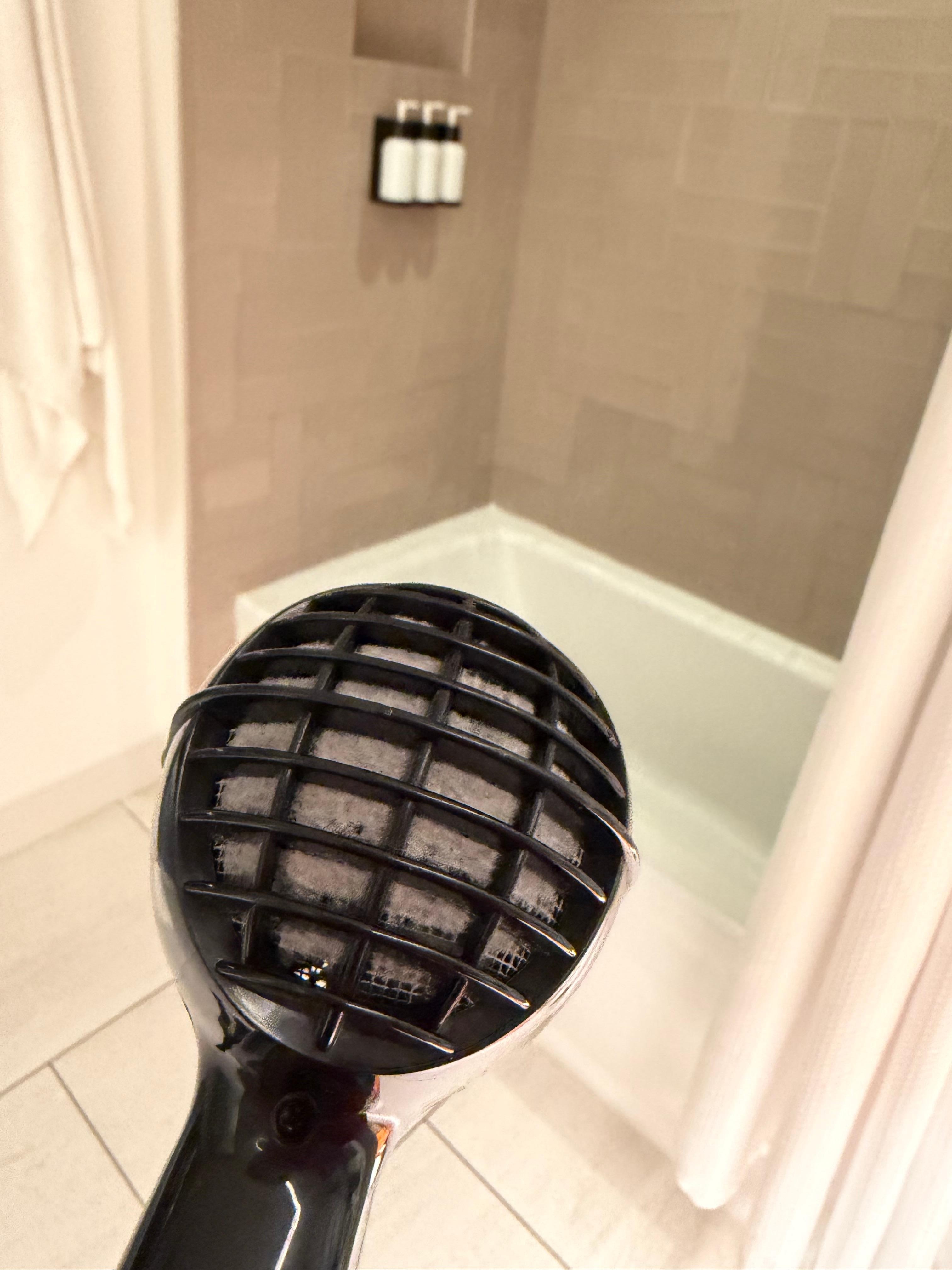 Dirty and unsanitary blow dryer