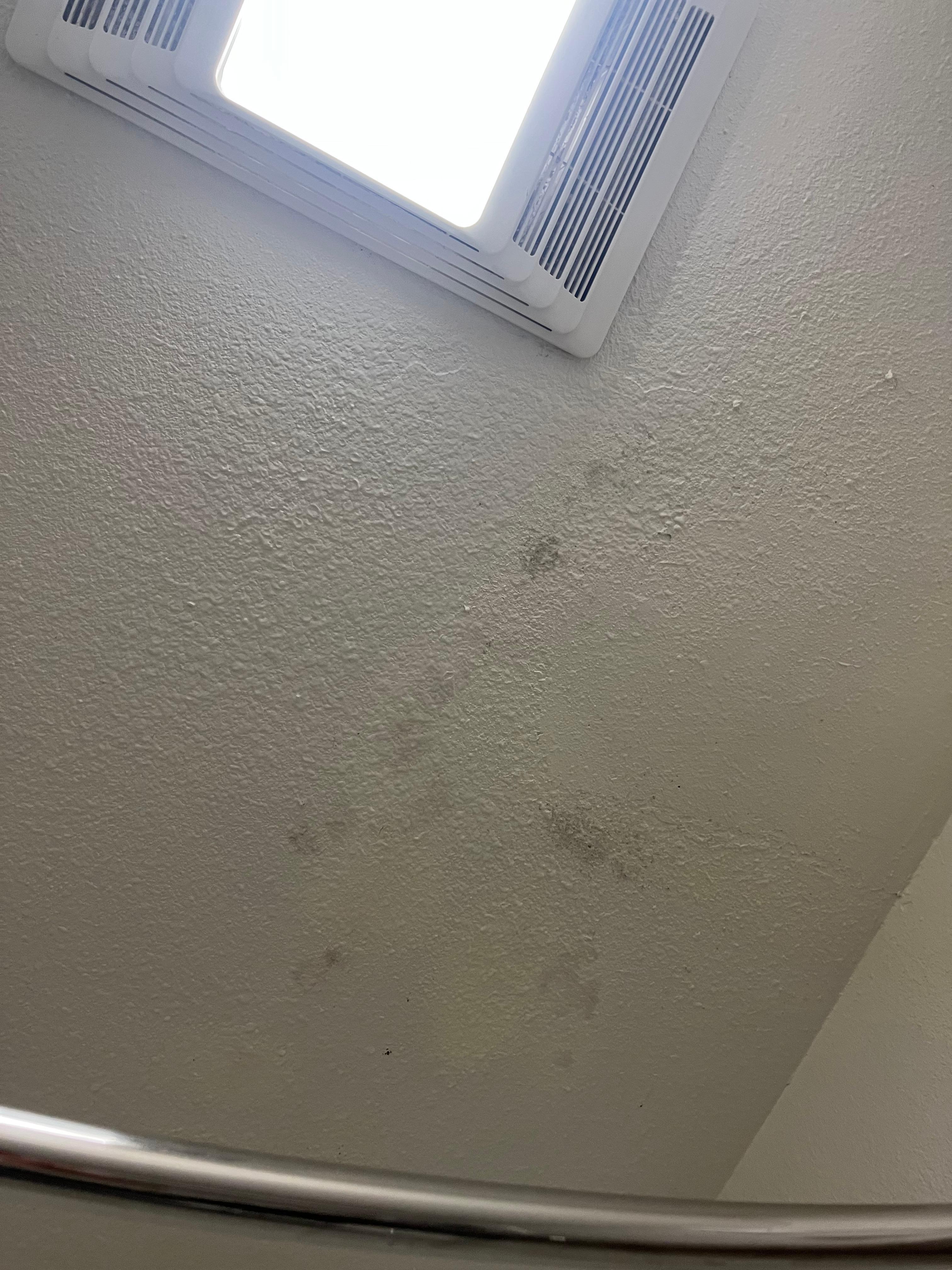 Mold on the bathroom ceiling, poorly covered up i assume. 