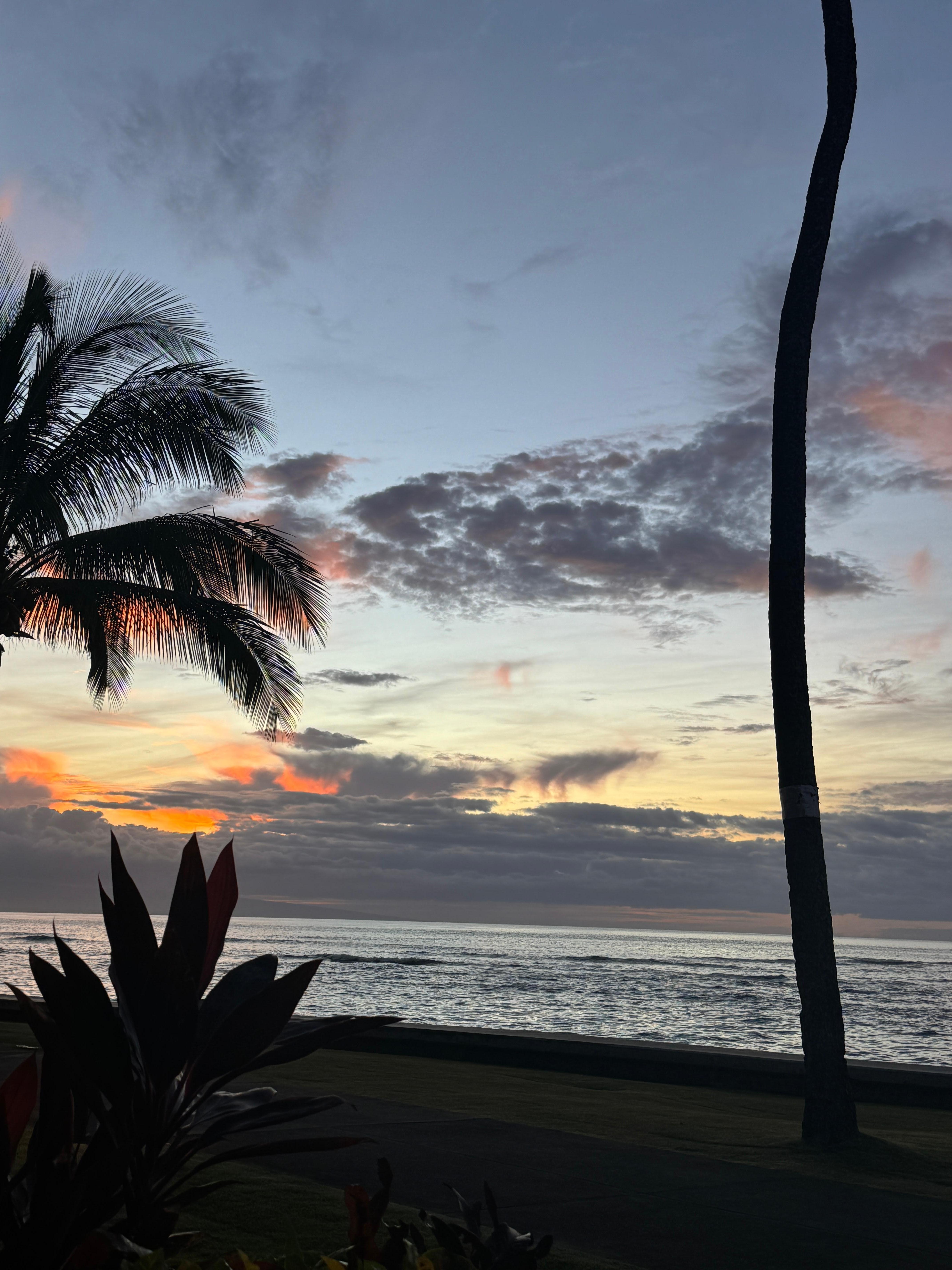 Typical evening view from the patio