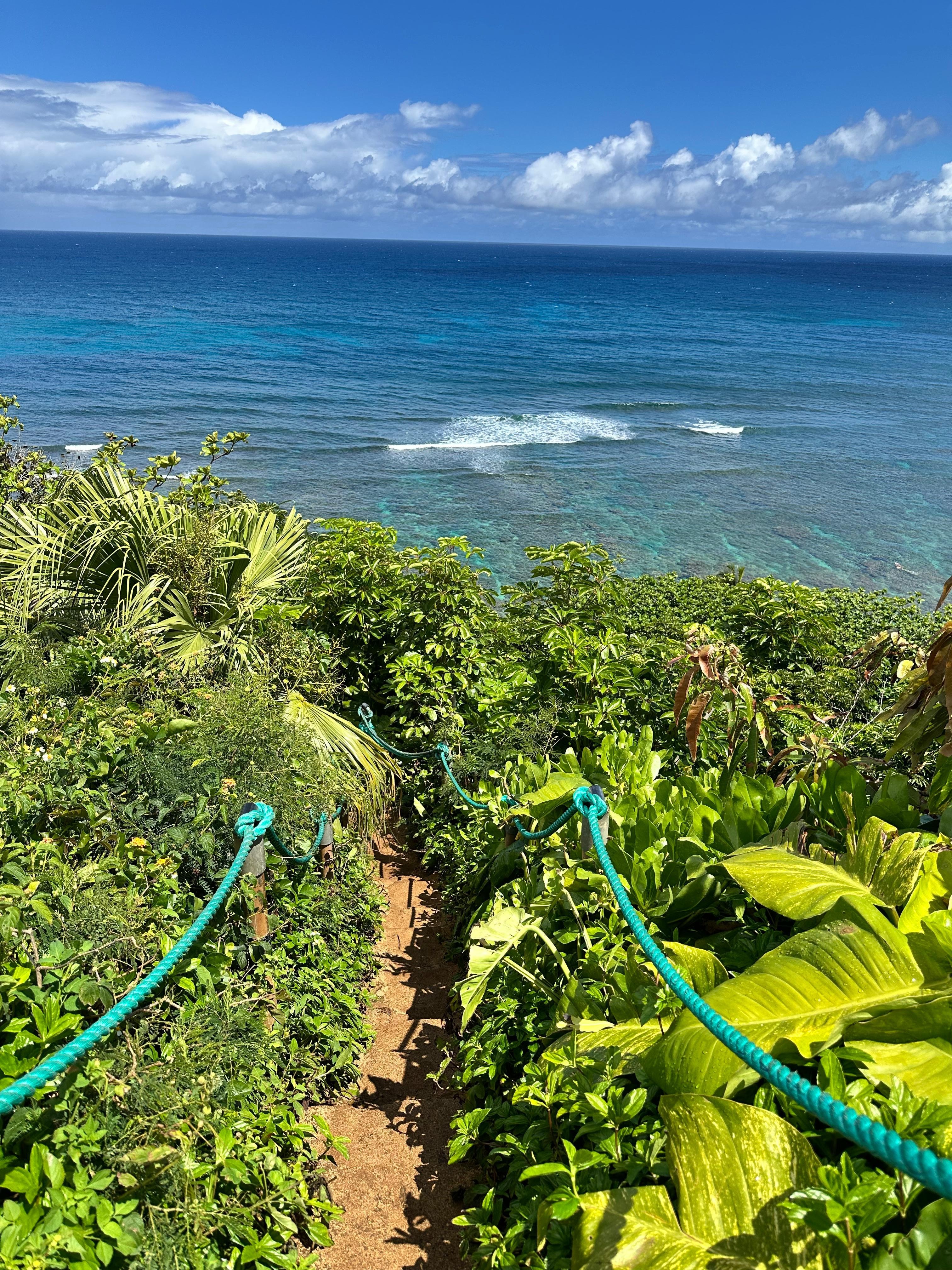 Trail to the beach