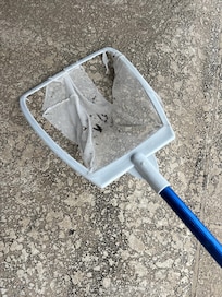 The pool net was broke couldn’t even clean the nasty pool