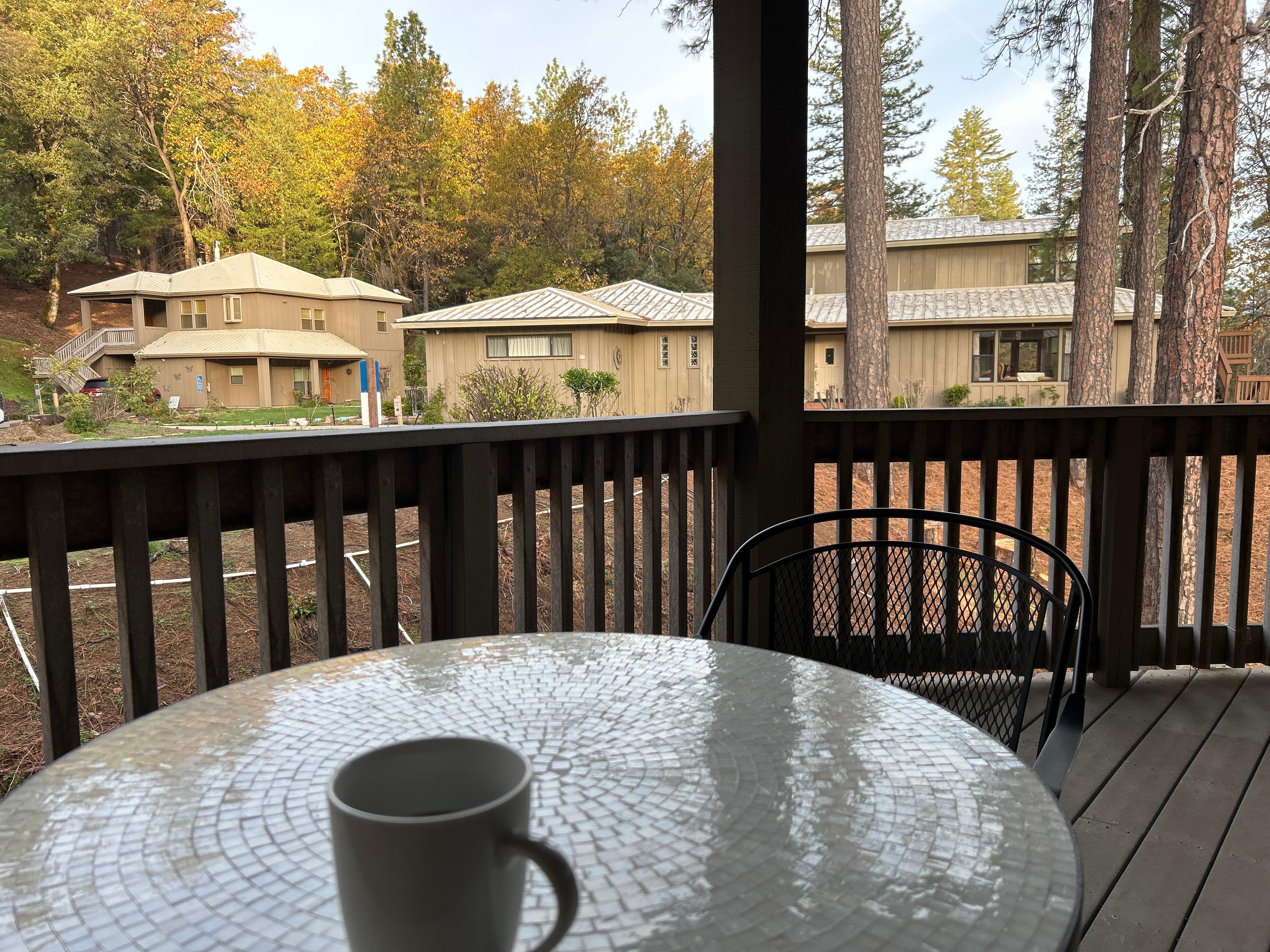 Coffee on the deck of the treehouse. 
