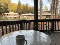 Coffee on the deck of the treehouse.