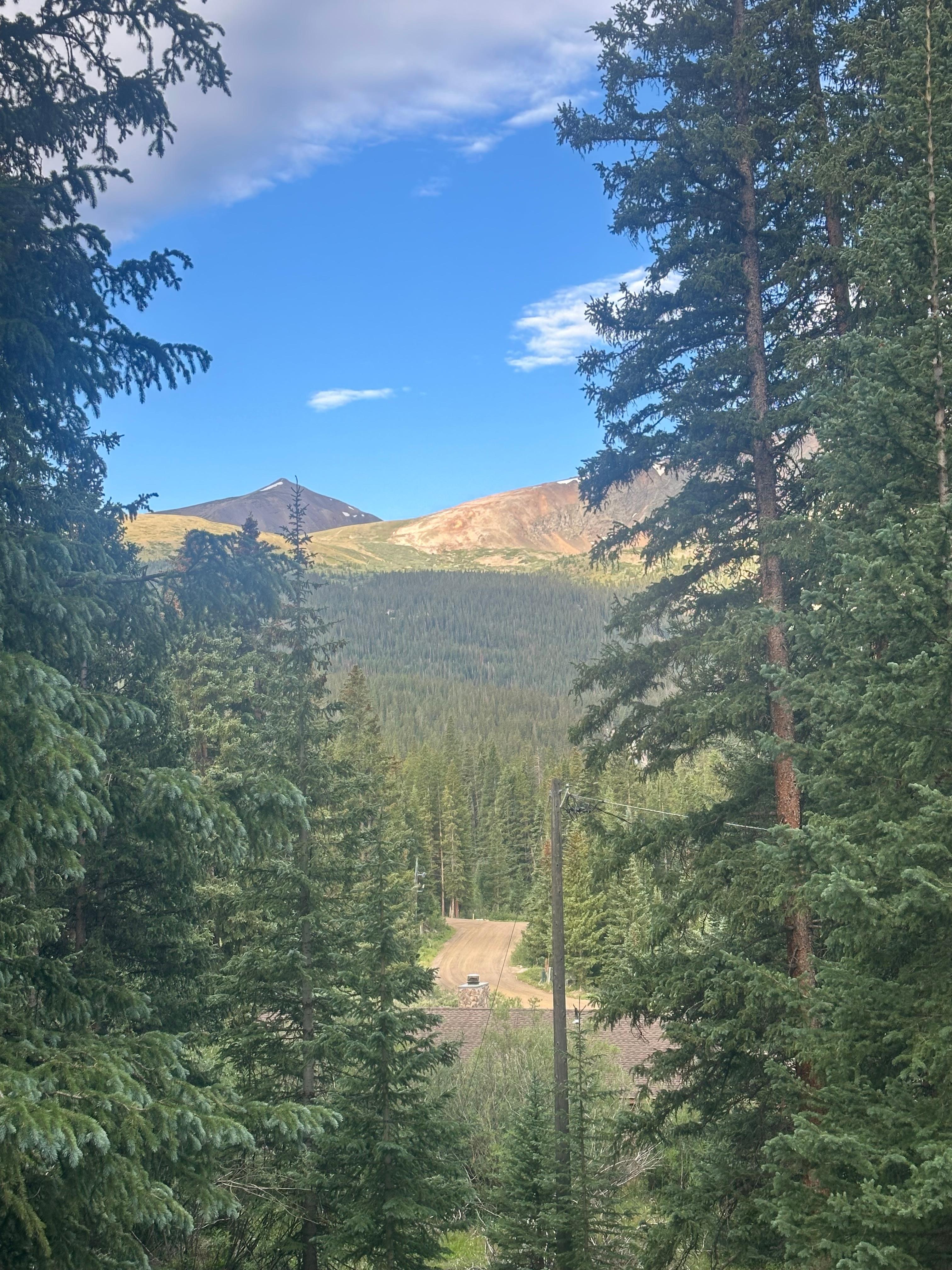 The view from the deck. 