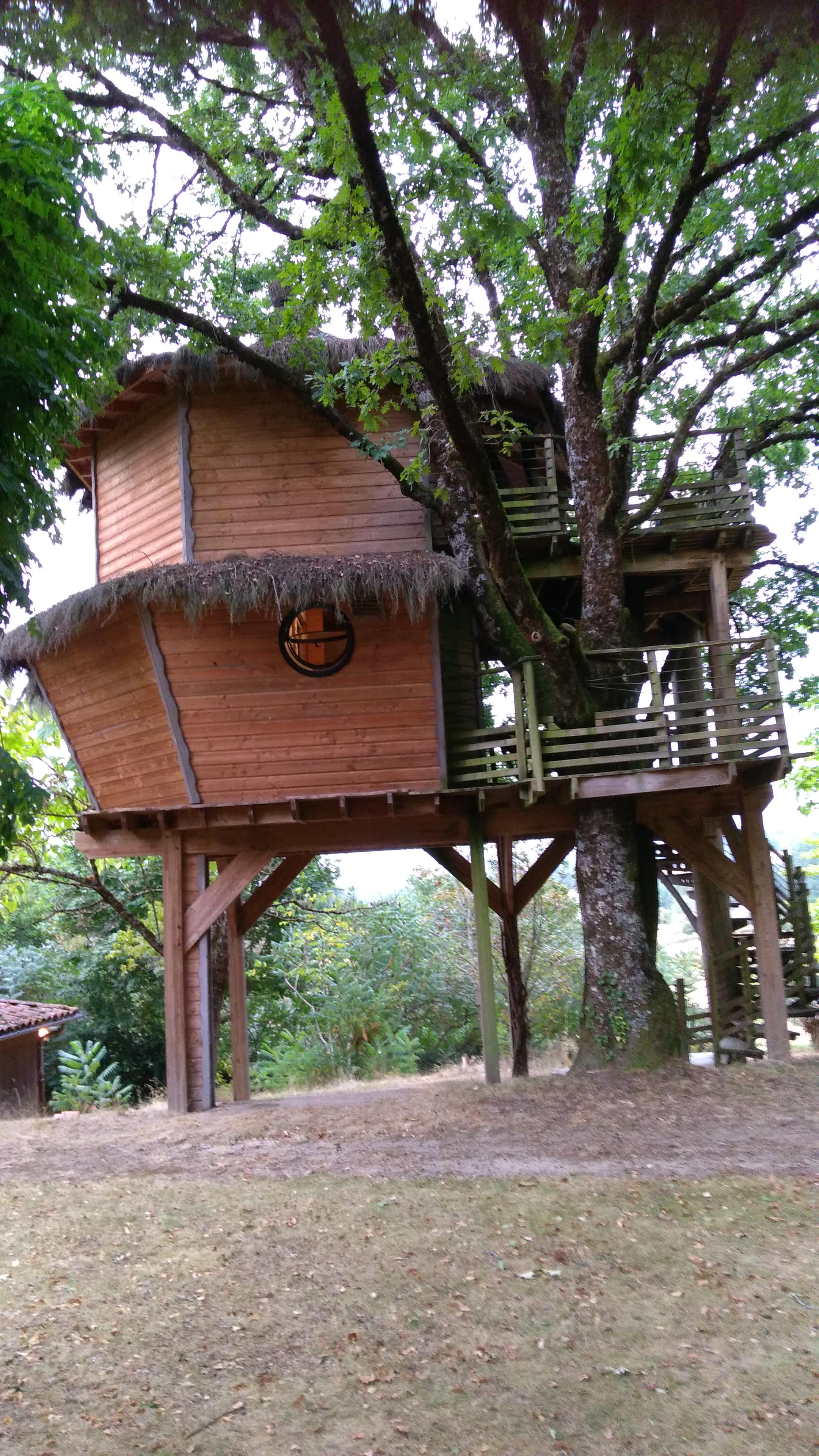 Une chambre "cabane "