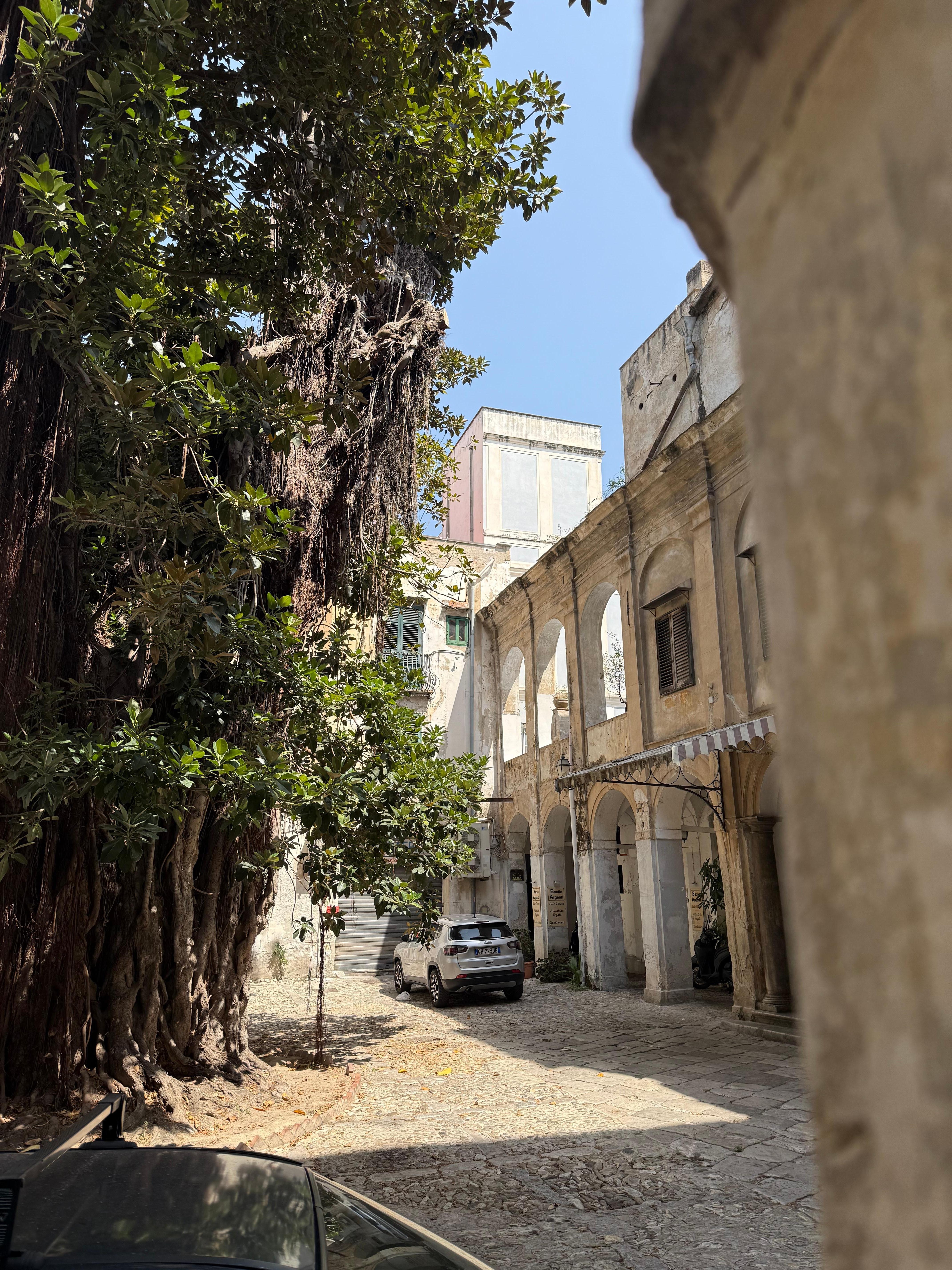 Outside the Vrbo in the enclosed parking area