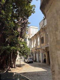 Outside the Vrbo in the enclosed parking area