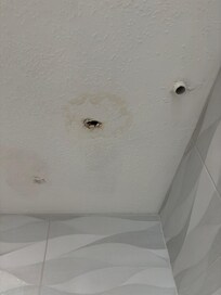 Moldy holes in ceiling