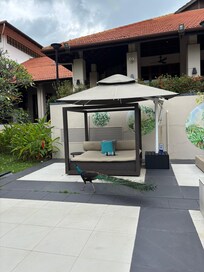 孔雀がお散歩していました。