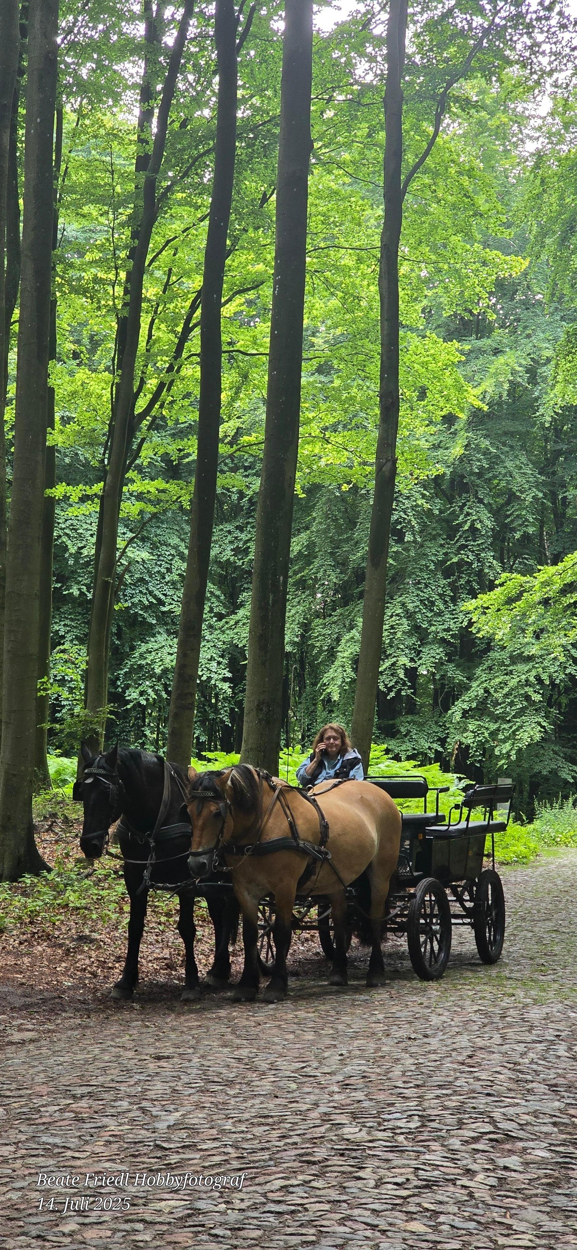 Bei Jagdschloss Granitz 