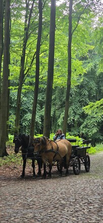 Bei Jagdschloss Granitz