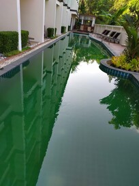 Wasser war richtig grün. wir dachten erst das liegt vllt an der Farbe des Pools aber weit gefehlt. der Boden war nicht Mal zu sehen und beim Einstieg sah man gerade noch die 1 Stufe und danach nur grüne Grütze