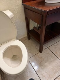 No Toilet Paper