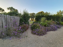 Der Garten.