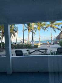 Our view for the week!!!