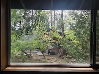 View from 9ne of the bedrooms