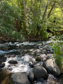 Creek