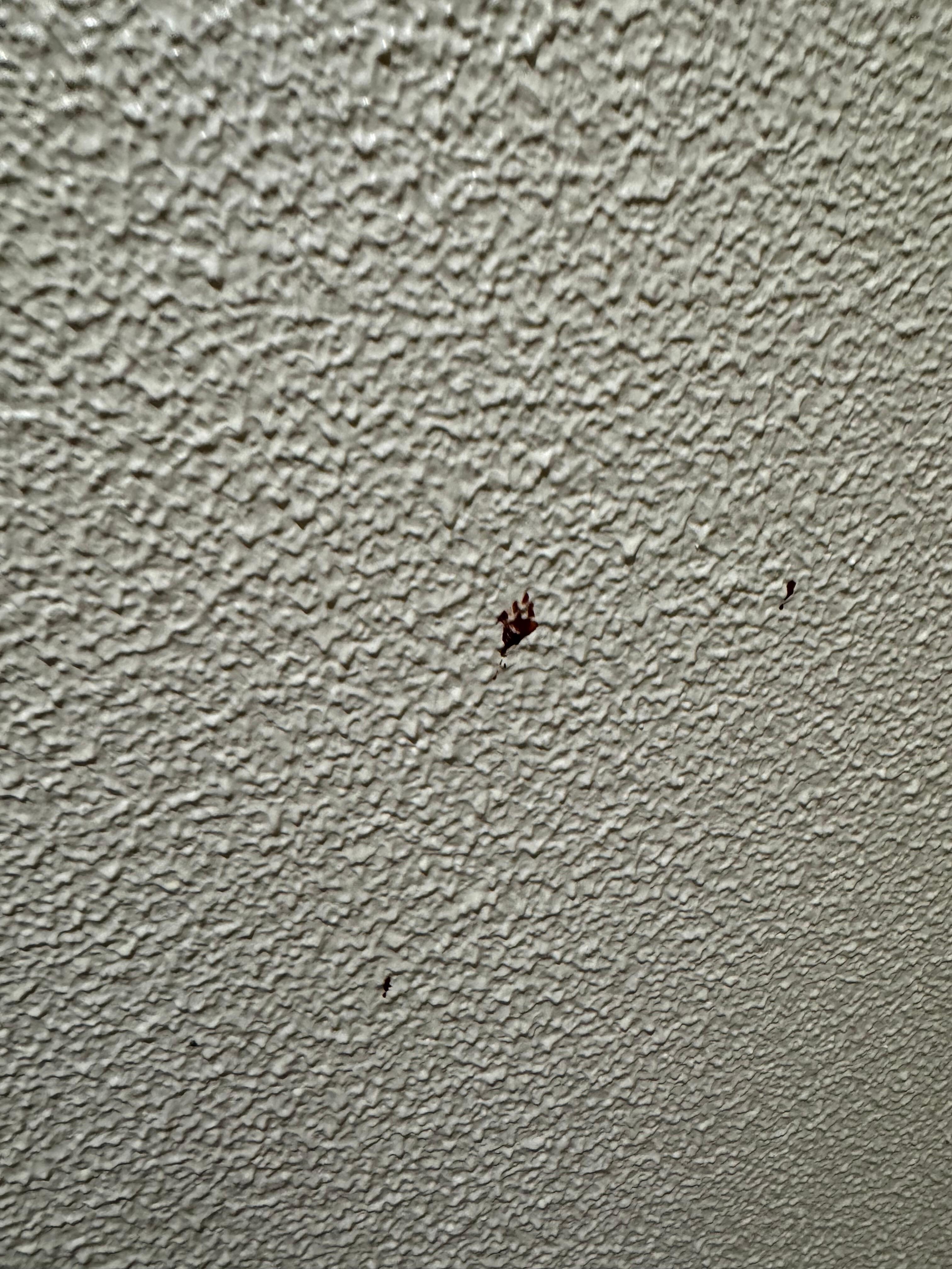 Stain on the walls, shower glass was splattered and not cleaned.