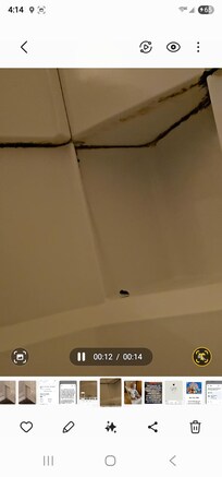 I only noticed the mold after a glob of it fell down.