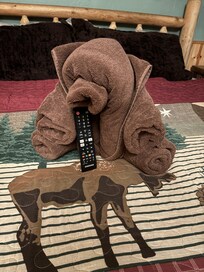 Adorable towel bear on both beds.