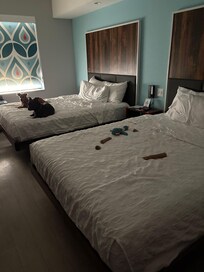 Room is nice size for 2 adults, 2 child and 2 dogs as well. Curtains are brightly decorated and blinds vs curtains.