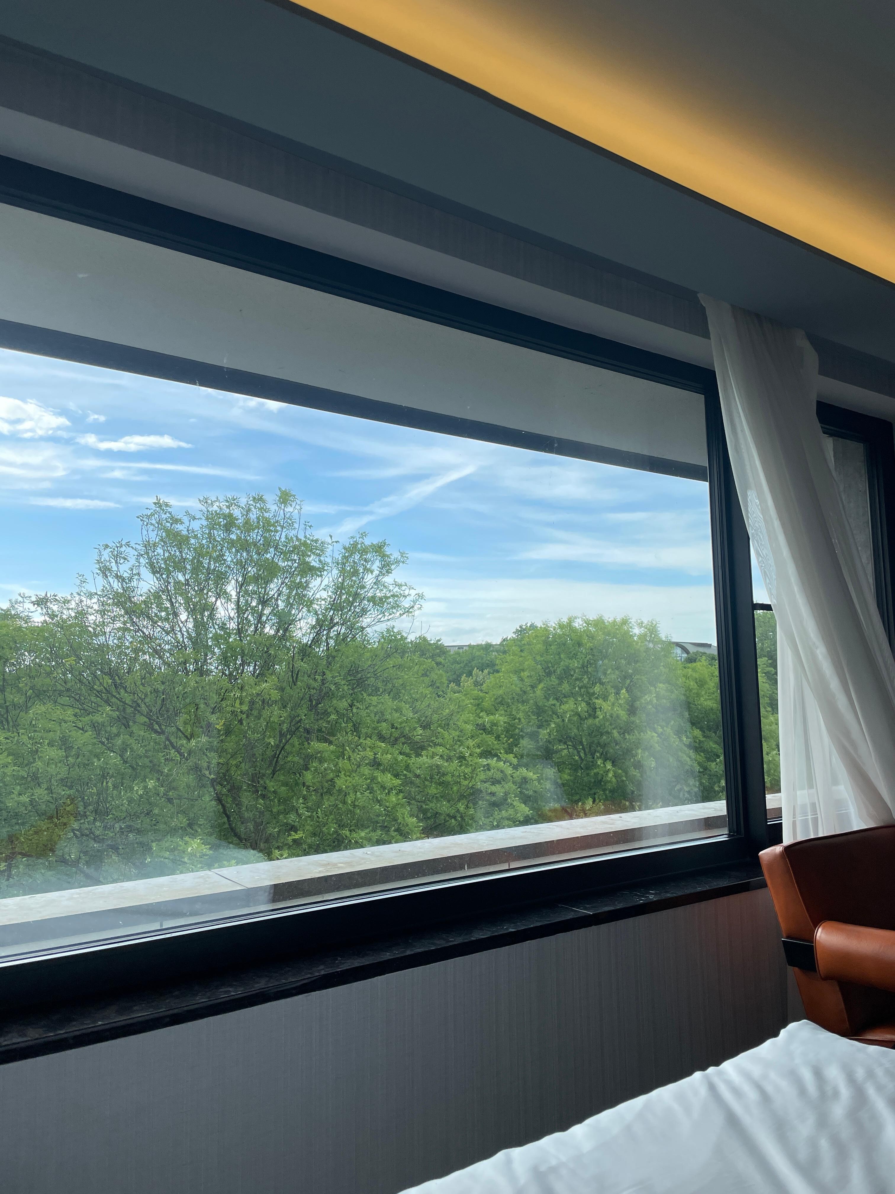 Große Fenster mit etwas Aussicht aufs Grüne