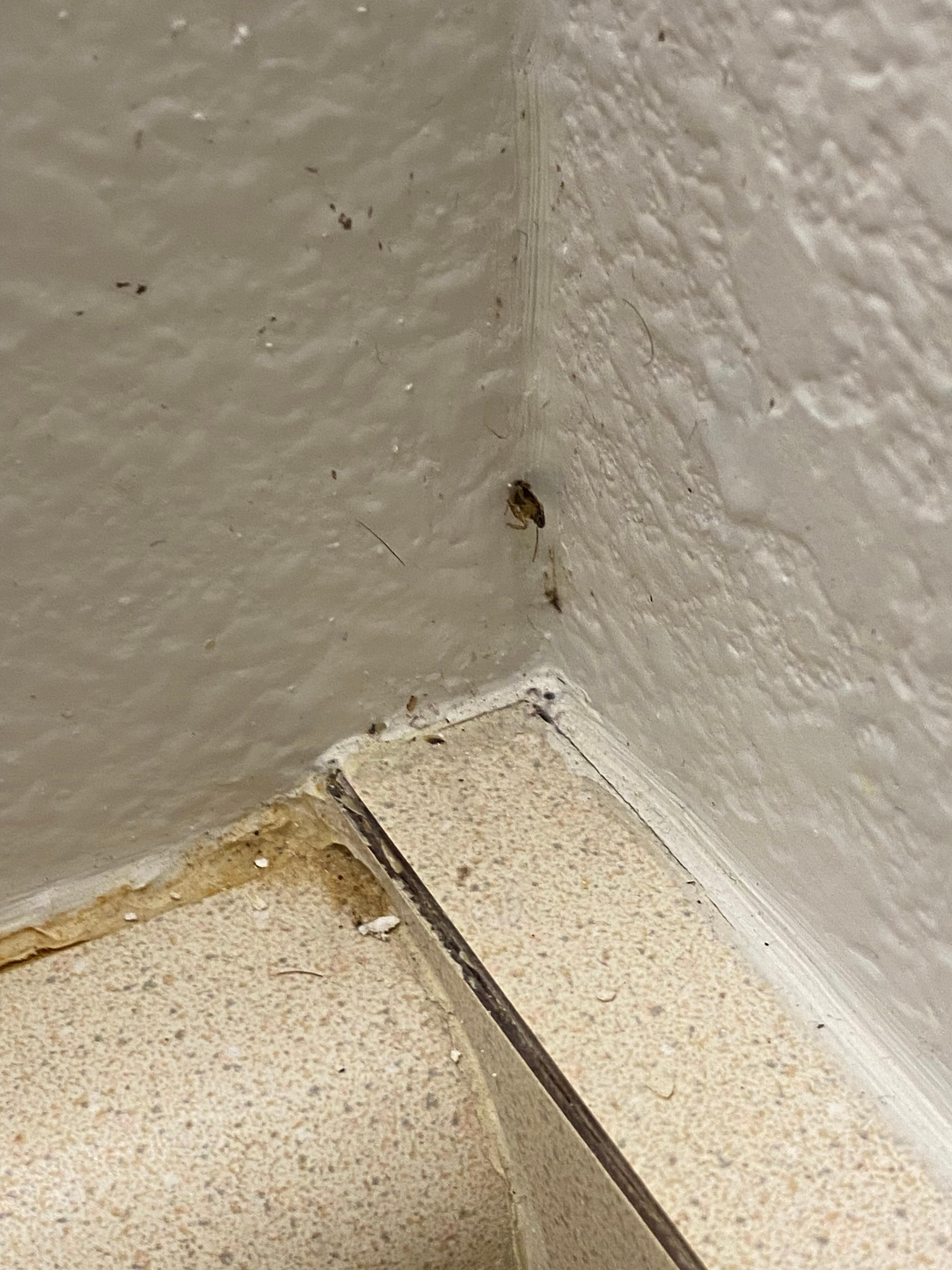 Bathroom near sink