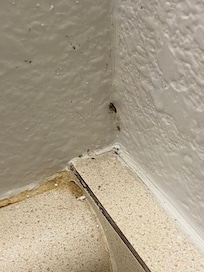 Bathroom near sink