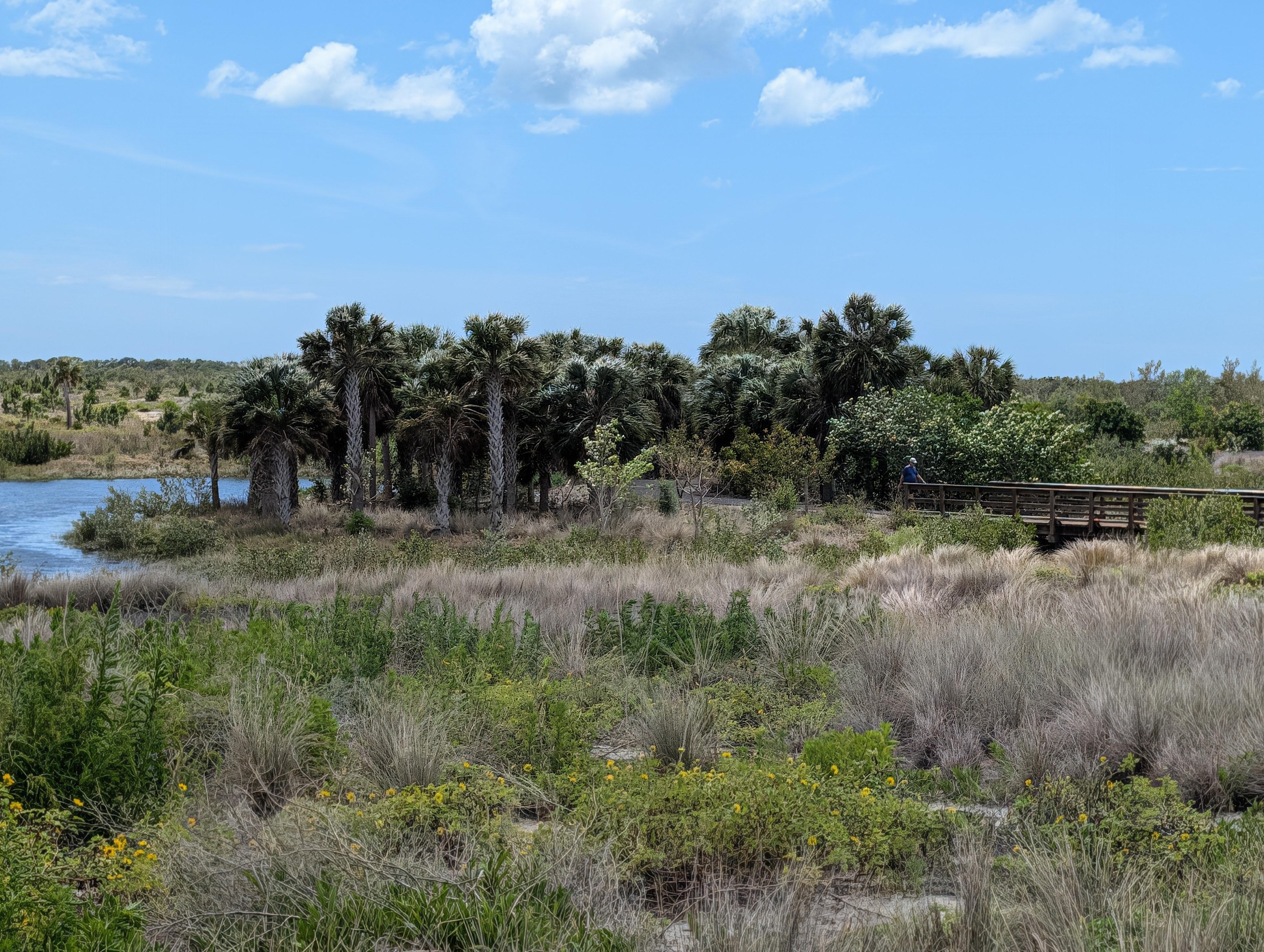 The Robinson preserve in Brandenton with great nature trails