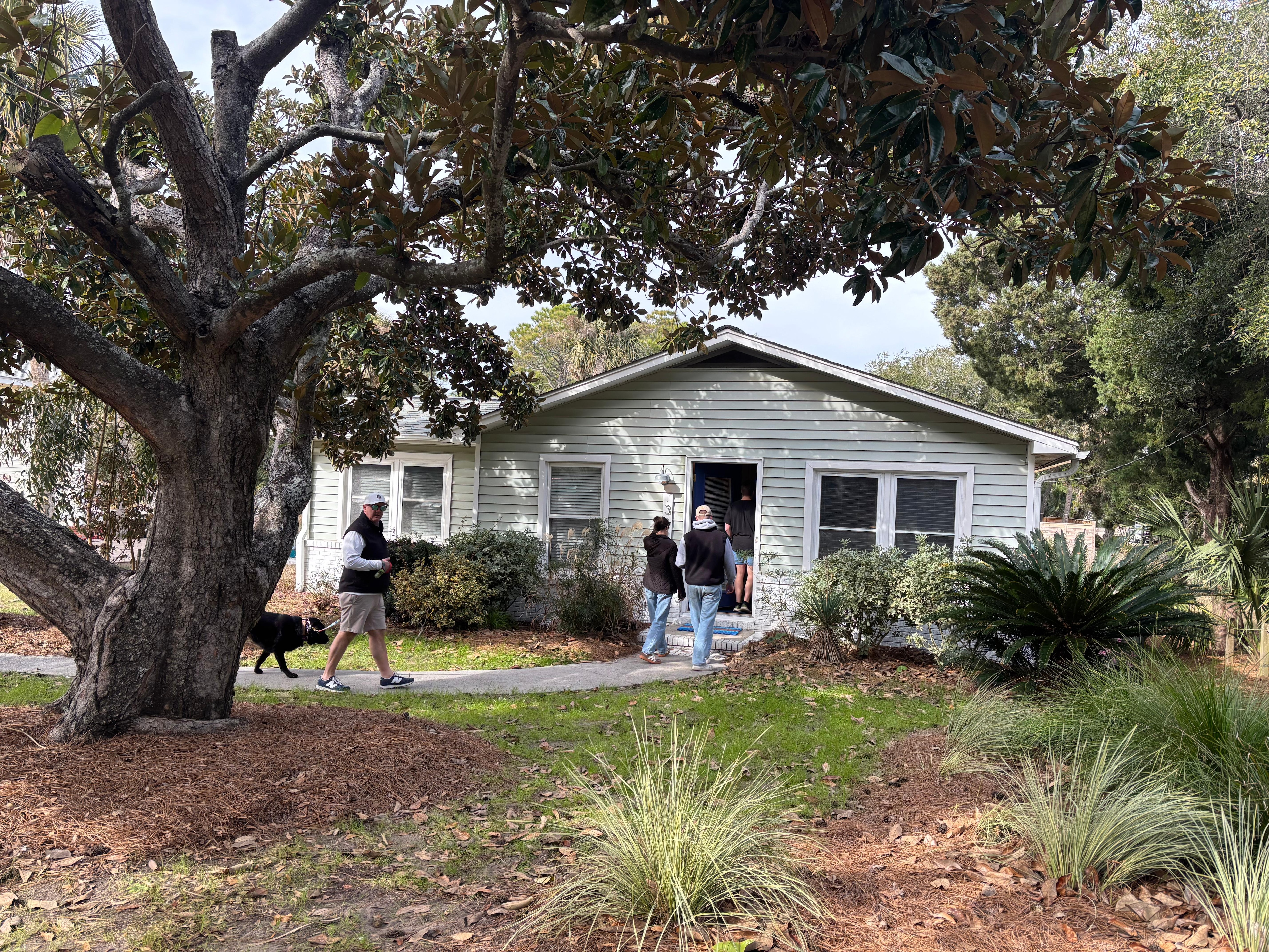 Love the Folly Beach trees! 