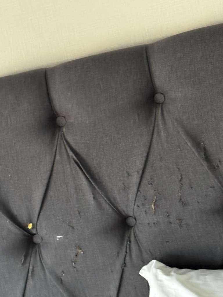 Bed in awful condition 