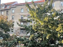 View from front window