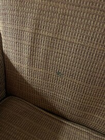 stained couch