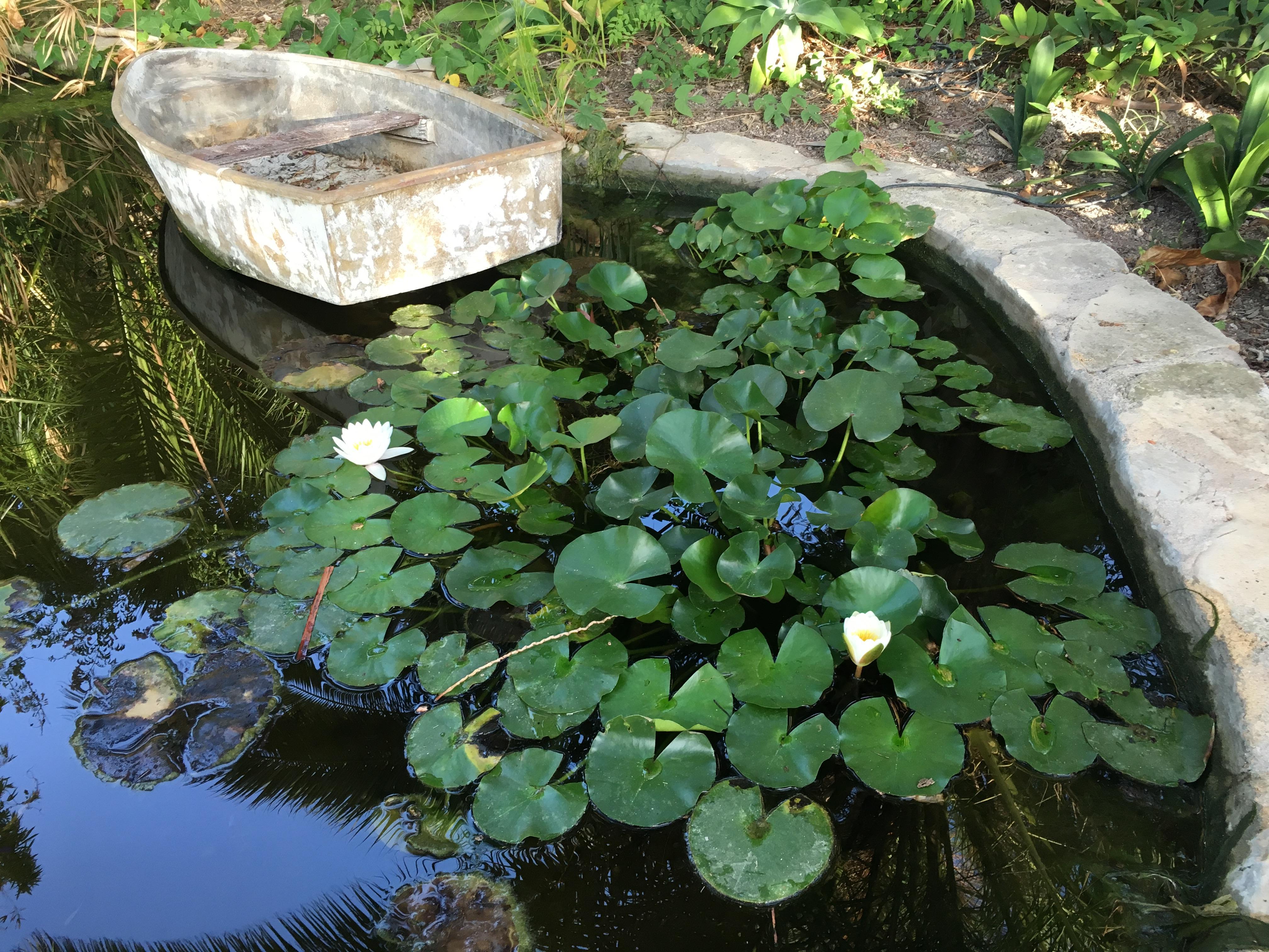 Piscina, vegetación y decoración.