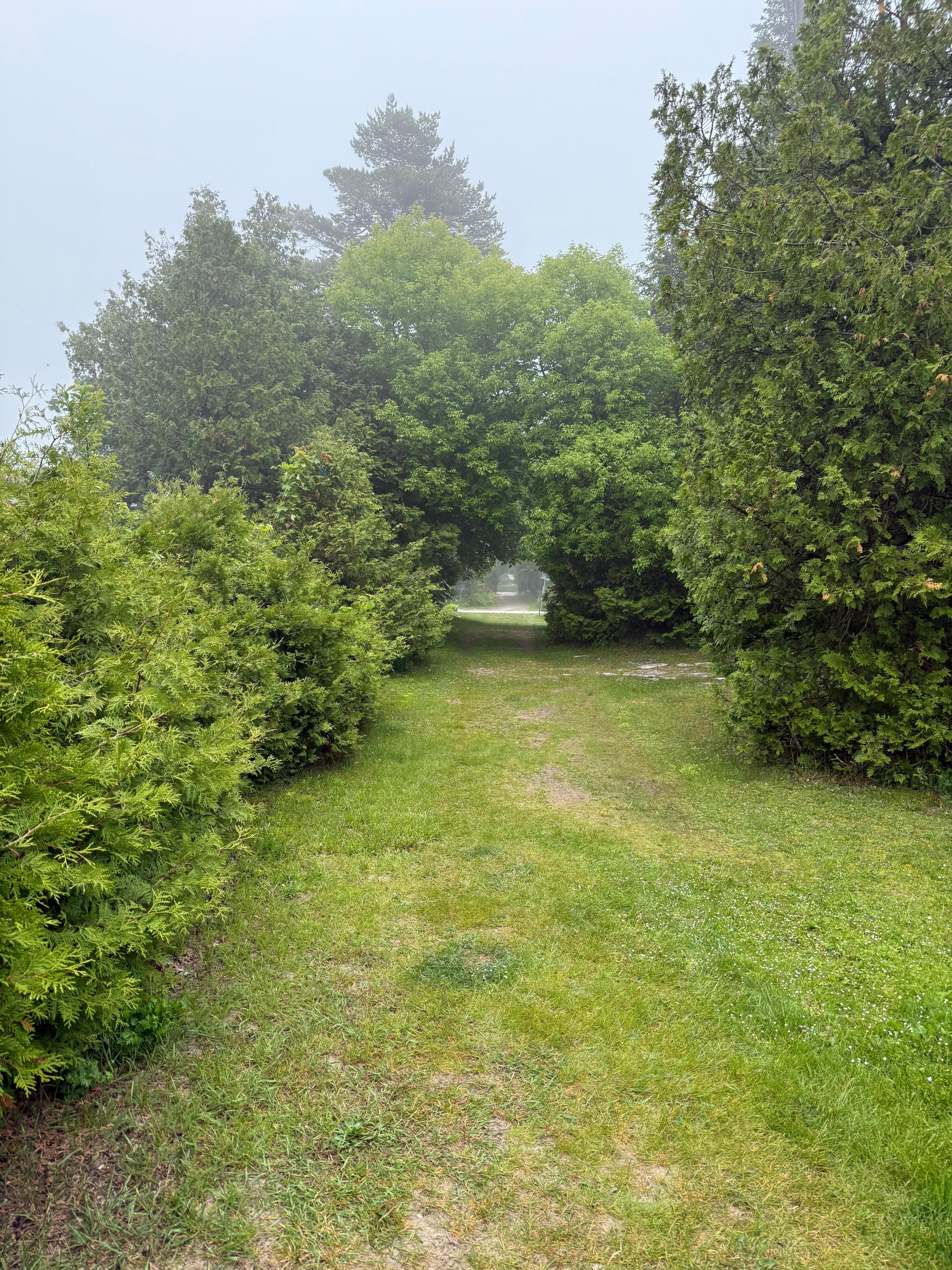 This is the path from the cabin to the beach - only a few minute walk to the water!