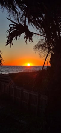 Sunrise from the massive back deck🤩