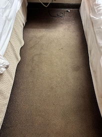 Sticky carpet