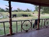 Visitors were peaceful.