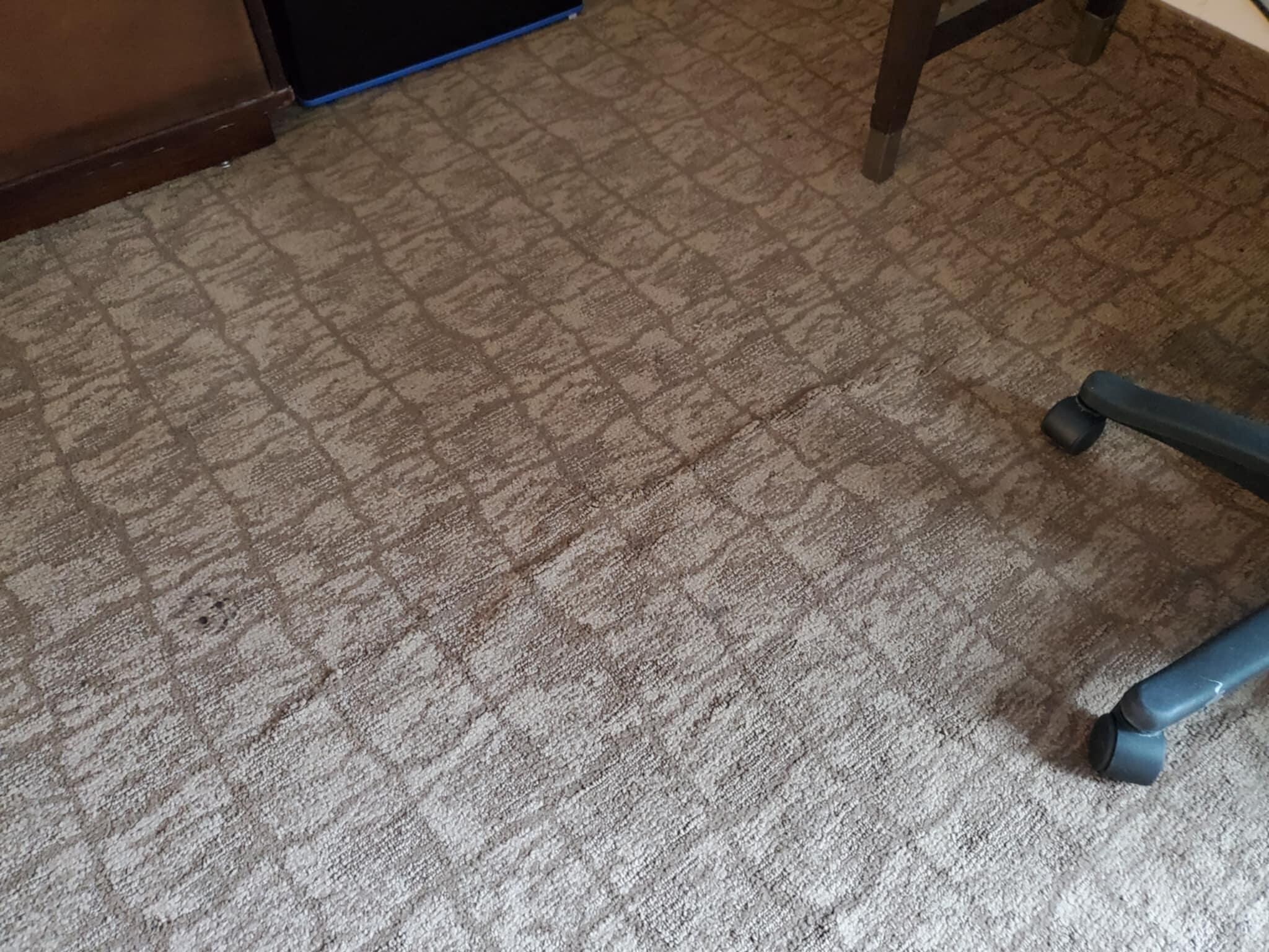 Carpet was so dirty and was curled up. I tripped on it several times