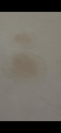 This was a stain on the bedcover. Not sure what it is.