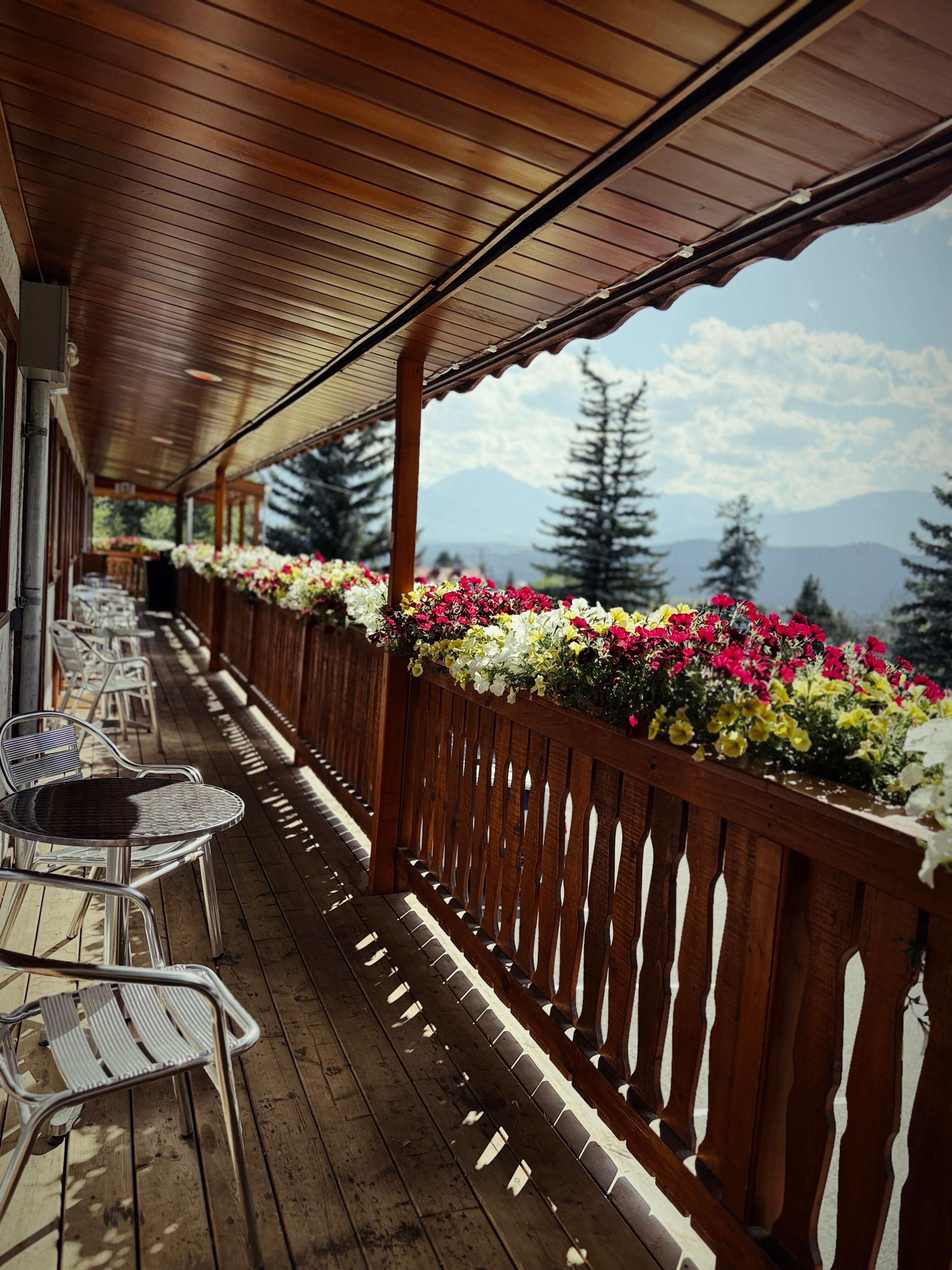Flowery balcony with a view. 