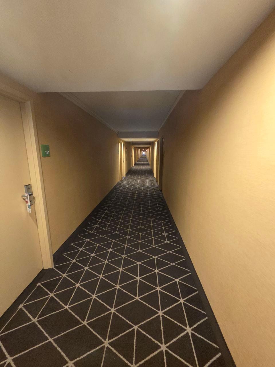 The downstairs hallway. I'm pretty sure it goes on farther than there's space in the hotel as seen from the outside. Mega spooky.